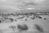 1955 - Dünen