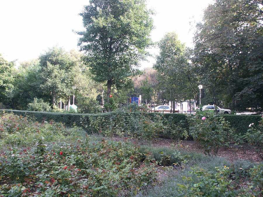 2003 - Rosengarten