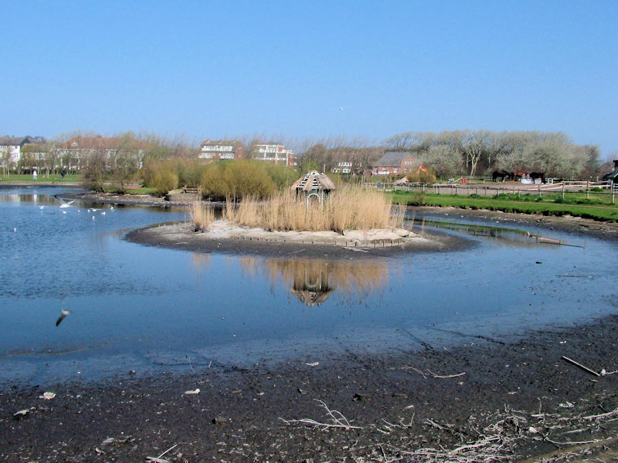 2005 - Sanierung / Säuberung Gondelteich