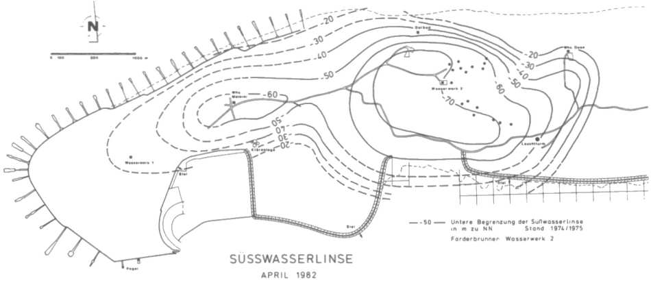 Süsswasserlinse