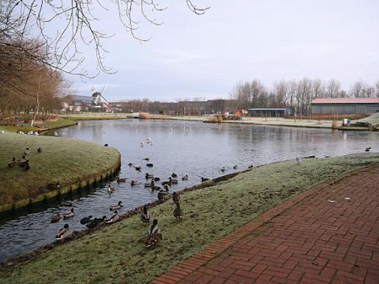Der Gondelteich Der Gondelteich