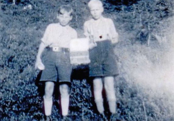 Blaubeerenpflücken in Österreich Blaubeerenpflücken in Österreich