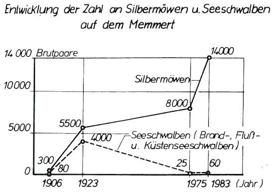 Entwicklung der Zahl an Silbermöwen und Seeschwalben auf dem Memmert