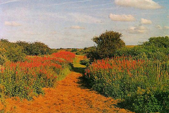 Wanderweg durch die Dünenlandschaft