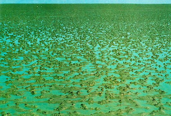 hochgelegene Sandwattfläche