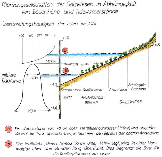 Pflanzengesellschaften