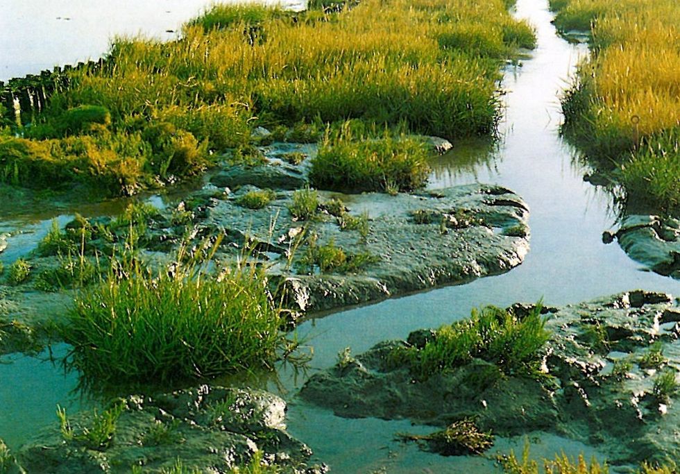 Im Schutze der Lahnung Im Schutze der Lahnung