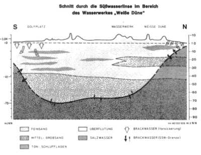 Süßwasserlinse Süßwasserlinse