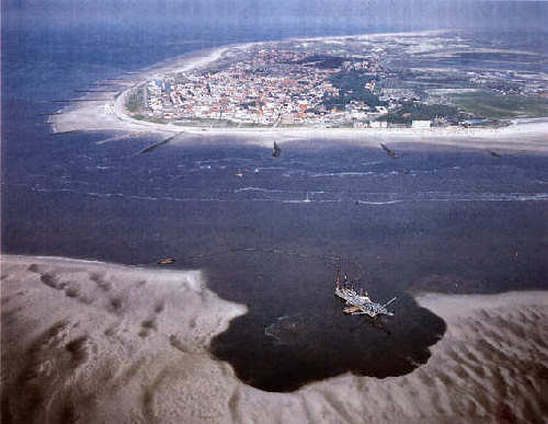 Strandaufspülungen